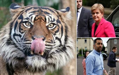 SNP Scots government billed taxpayers £2k for  Edinburgh Zoo away day