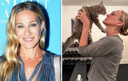 Sarah Jessica Parker has adopted Carrie Bradshaw’s cat from And Just Like That