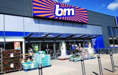 Shoppers scramble to B&M to grab garden must-haves in the sale – including a heater reduced from £50 to £10 | The Sun
