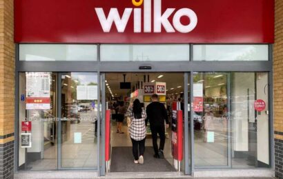 Wilko administration news latest — Chain's opening times during bank holiday as MoneySavingExpert warns of online scam | The Sun
