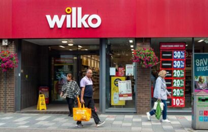 Wilko shoppers shamed as ‘scavengers’ after boasting about sales in same post as woman reveals husband risks redundancy | The Sun