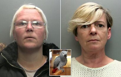 Women jailed for killing African grey parrot &apos;Sparky&apos; after night out
