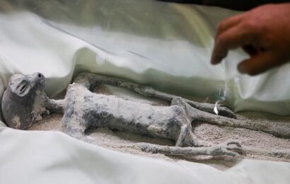 &apos;Alien corpse&apos; row deepens as Peru probes how bodies left country