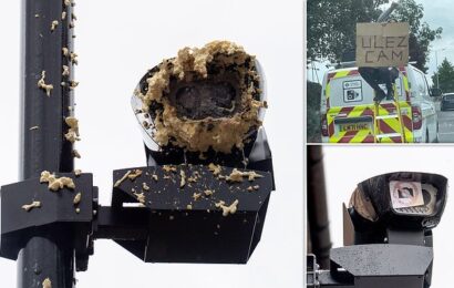 Furious motorists destroy more ULEZ cameras across London