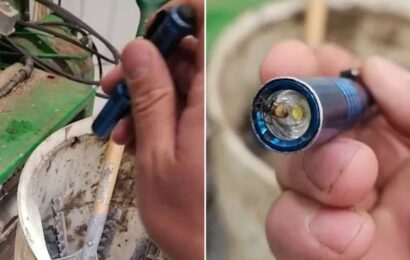Man shares genius hack to get rid of flies… all you need is a torch | The Sun