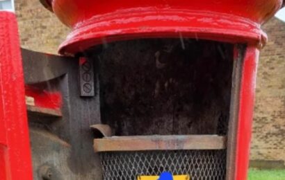 Postman reveals what the inside of a post box REALLY looks like