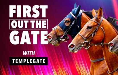 Templegate finds a cracking 20-1 Cesarewitch tip for owners who always tackle these big-money staying races | The Sun