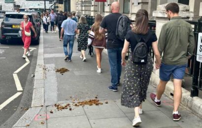 We're disgusted at the state of one of the UK's biggest tourist hotspots – it's covered in horse poo and it stinks | The Sun