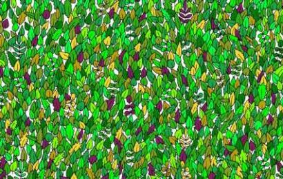 You have 20/20 vision if you can find the frog hiding among the leaves in under 20 seconds | The Sun