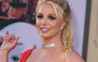 Britney Spears was ‘pulled over’ for driving without a licence after Sam split