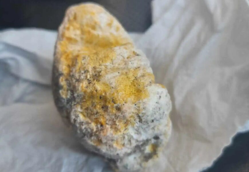 I found a disgusting blob washed up on the beach and it could be worth £400k… most people walked past it | The Sun I found a disgusting blob washed up on the beach and it could be worth £400k… most people walked past it | The Sun