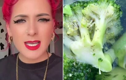 I was disgusted when I saw how many bugs came out of my Tesco broccoli – then I was trolled for 'not washing' it | The Sun