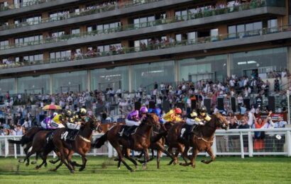 Templegate’s Tote Placepot tips with £150,000 to be won at Ascot on Saturday | The Sun