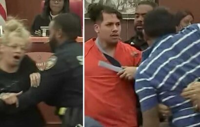Video: Brawl Breaks Out In Court After Man Accused of Shooting Girlfriend 22 Times Pleads Guilty to Murder