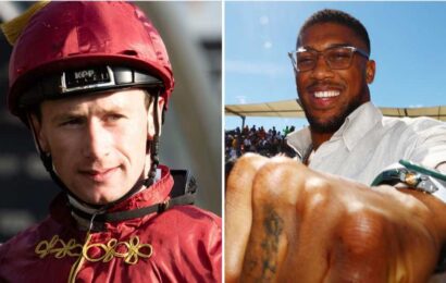 Anthony Joshua comes out of nowhere to help jockey Oisin Murphy fight back against hackers | The Sun