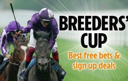 Breeders' Cup free bets and sign up deals 2023: Best new customer betting offers for Santa Anita | The Sun