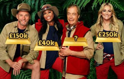 Expert reveals how much the I’m A Celebrity cast are really being paid after Nigel Farage lands biggest ever pay day | The Sun
