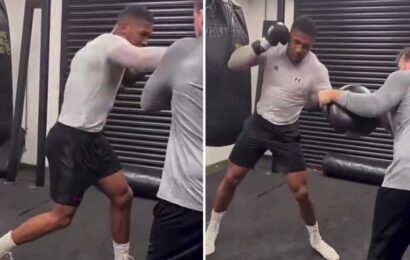 Fans say 'this looks SCARY' as Anthony Joshua trains with Tyson Fury's former coach ahead of Otto Wallin fight | The Sun