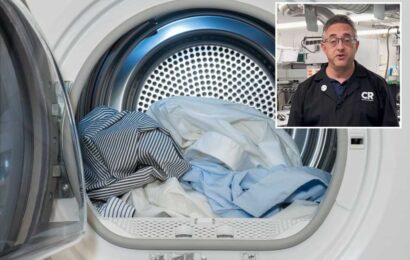 Four reasons to bin the fabric conditioner – it’s clogging your washing machine for starters, from an appliance expert | The Sun
