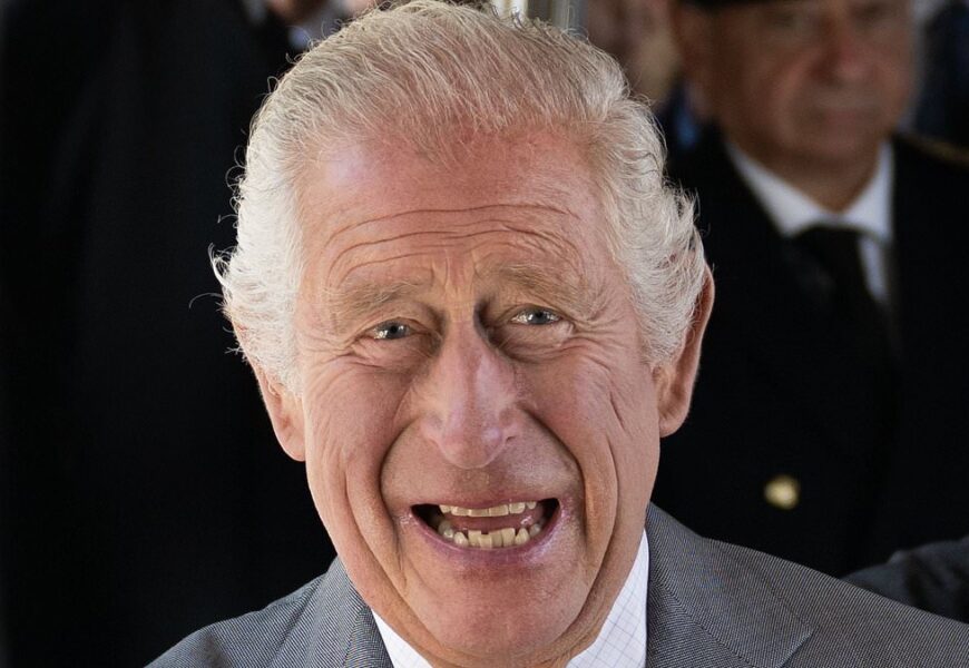 King Charles is a 'pampered' royal, Omid Scobie claims in new book King Charles is a 'pampered' royal, Omid Scobie claims in new book