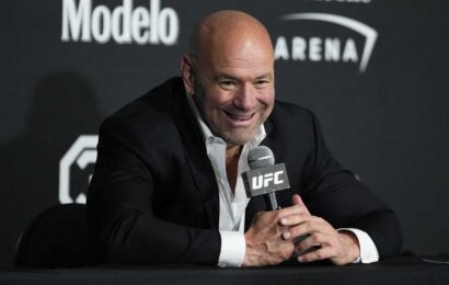 MMA fans in a frenzy after Dana White announces UFC working on 'SUPER FIGHT' ahead of UFC 300 not involving McGregor | The Sun