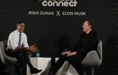 Musk tells Sunak AI will eventually mean no one needs to have a job