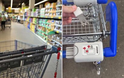The trolley hack which means you DON’T need a £1 coin – and shoppers dub it mindblowing | The Sun