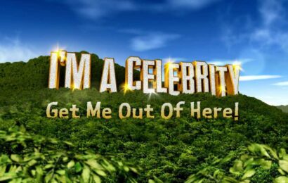 Where I’m A Celeb’s forgotten stars are now – from getting ‘normal jobs’ to quitting fame | The Sun
