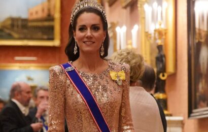 Princess of Wales stuns in rose gold at the Diplomatic Reception